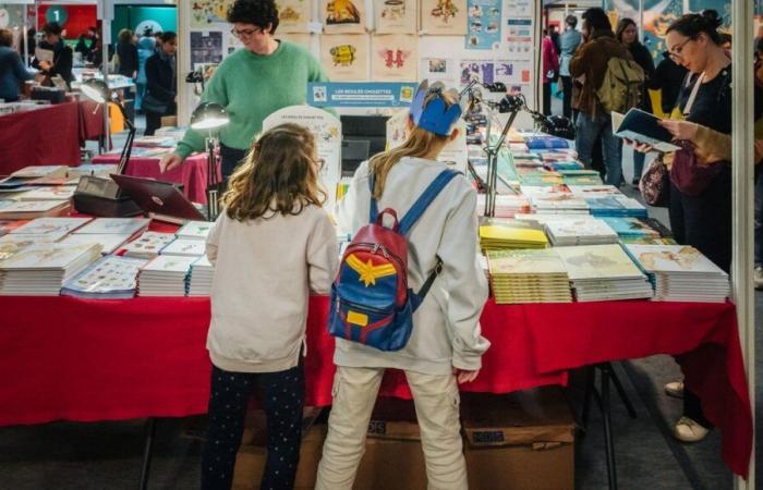 Salone del libro e della stampa giovanile di Montreuil, un mercato che sta andando abbastanza bene