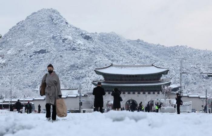 La forte nevicata trasforma la Corea nel paese delle meraviglie invernale – in immagini