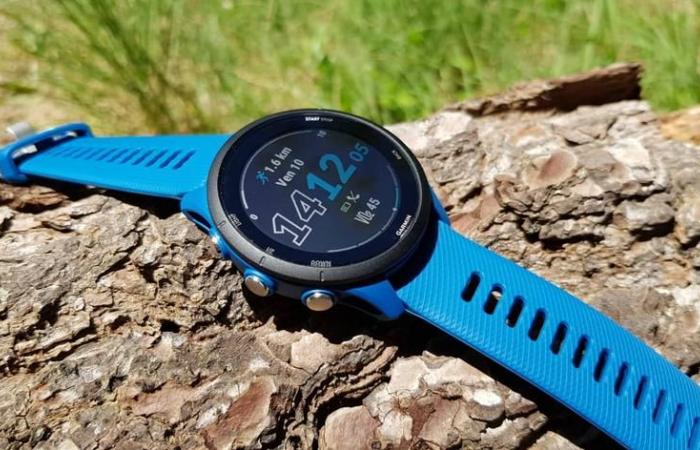 Aggiornamento Beta 21.19 per lo smartwatch Garmin Forerunner