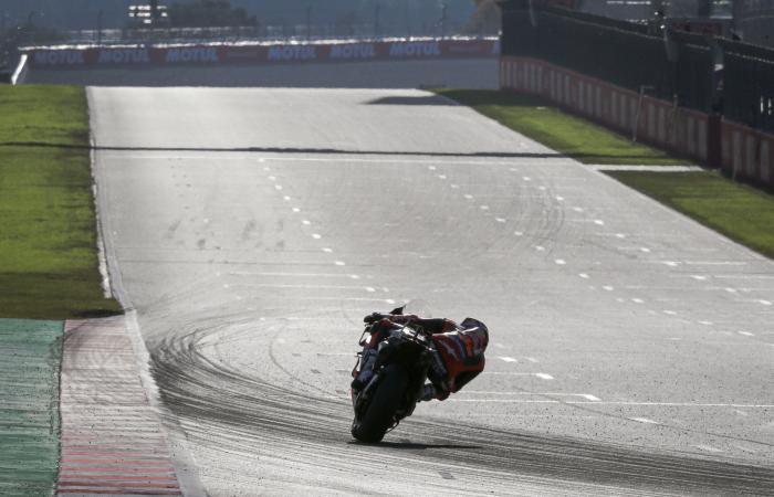 MotoGP: Pedro Acosta rassicura i tre esordienti dopo la caduta