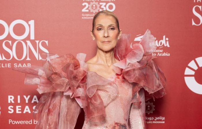 Celine Dion: la sua casa in Belgio infestata? “Monaci che si suicidarono…”, questo aneddoto da far rizzare i capelli