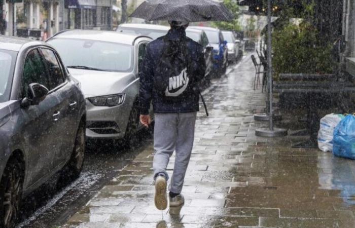 Nuovi rovesci, raffiche di vento, pioggerellina: il Belgio attraversato da una nuova zona di pioggia