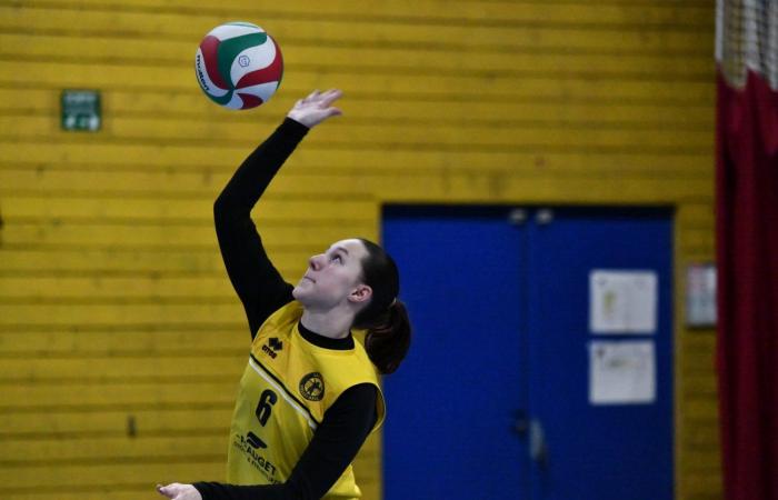 PALLAVOLO: Hanno vinto solo gli uomini di Le Creusot… Le donne hanno perso tutto…