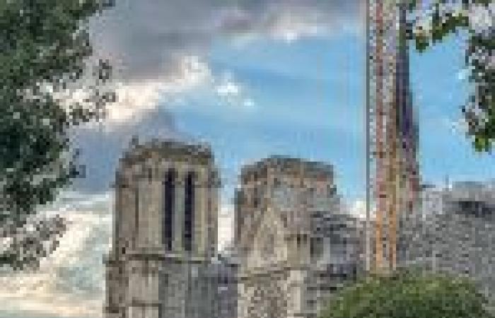 Riapertura di Notre-Dame de Paris: France 2 ci svela la cattedrale rinnovata questo 29 novembre