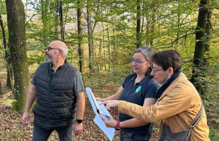 Alla ricerca del domani | Ardenne. Sport nel bosco: vigilare anziché proibire