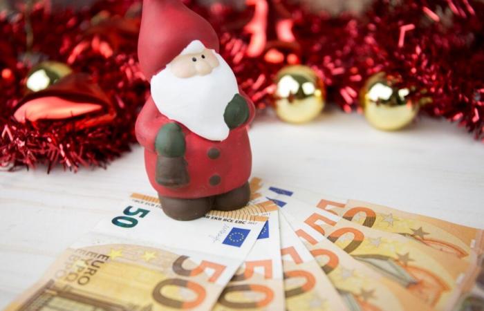 È possibile cumulare il bonus Natale 2024 e il bonus attività?