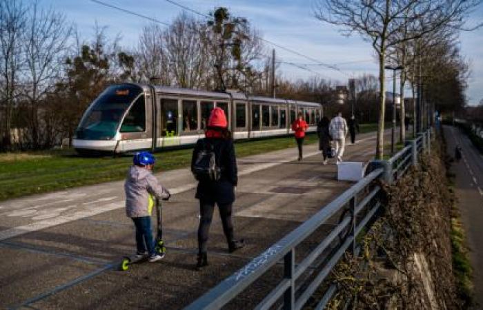 I 10 comandamenti per sopravvivere al mercatino di Natale di Strasburgo, edizione 2024