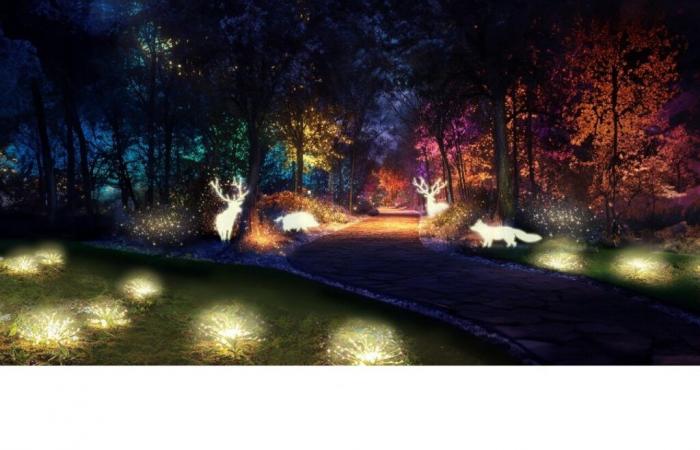 Questo parco faunistico del Lot si illumina a Natale con una foresta incantata e animali luminosi