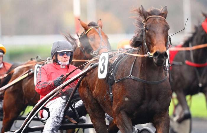 Domenica a Vincennes – Eric Blot: “È Jean-Michel Bazire che sarà al Jeudi des Racques sulky”