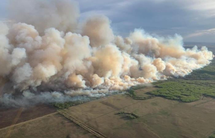 L’inquinamento atmosferico da incendi è collegato a 1,5 milioni di morti ogni anno in tutto il mondo