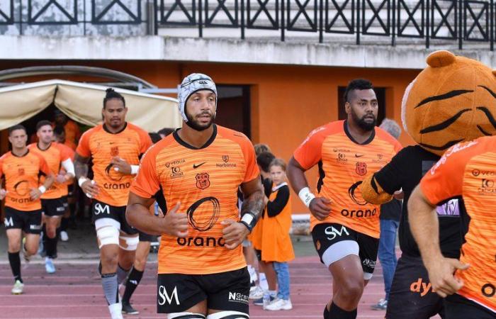 Rugby – Derby Carcassonne-Narbonne in Nazionale: due squadre e acquisti diversi, ma ben mirati