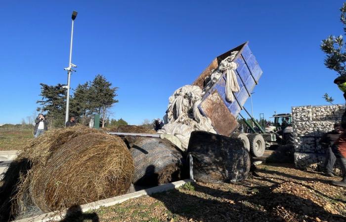 GARD Agricoltura: quattro ragioni per manifestare