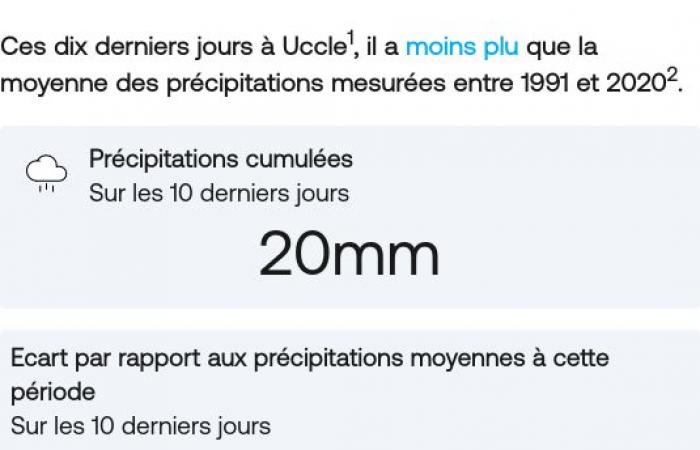 Il 2024 è l’anno più piovoso mai registrato in Belgio: la prova nelle infografiche