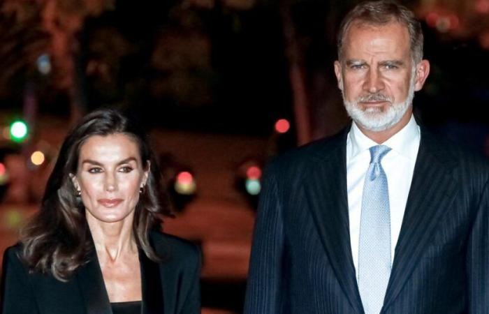 “È un peccato”, “assolutamente magnifico”… Questi i nuovi ritratti di Felipe e Letizia dalla Spagna che dividono il Paese