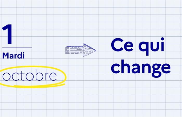 Cosa cambia dal 1 dicembre 2024