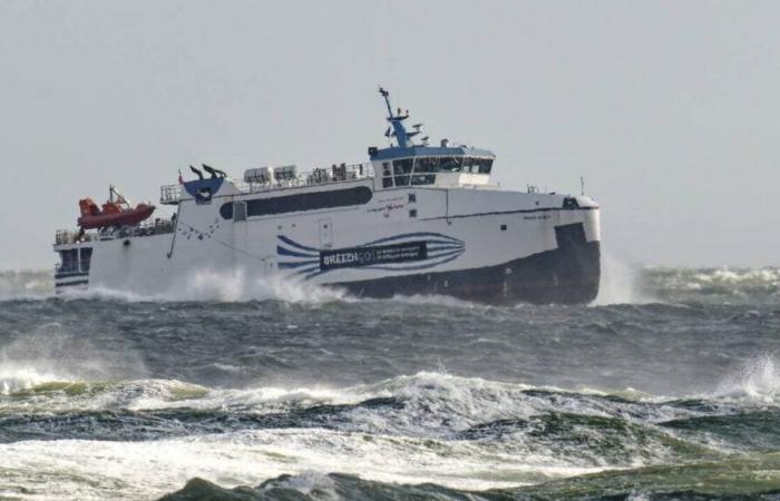 ha partorito a bordo della nave tra Groix e Lorient