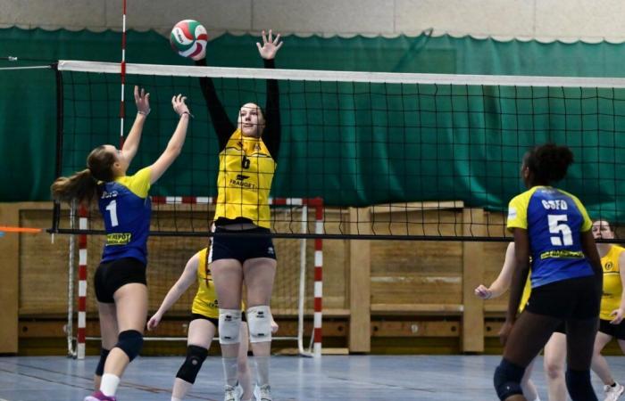 PALLAVOLO: Hanno vinto solo gli uomini di Le Creusot… Le donne hanno perso tutto…