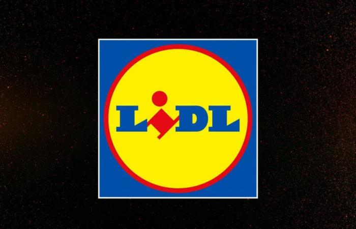 Chi avrebbe mai immaginato che Lidl avrebbe offerto prezzi così bassi per il Black Friday 2024?