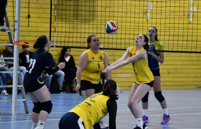 PALLAVOLO: Hanno vinto solo gli uomini di Le Creusot… Le donne hanno perso tutto…