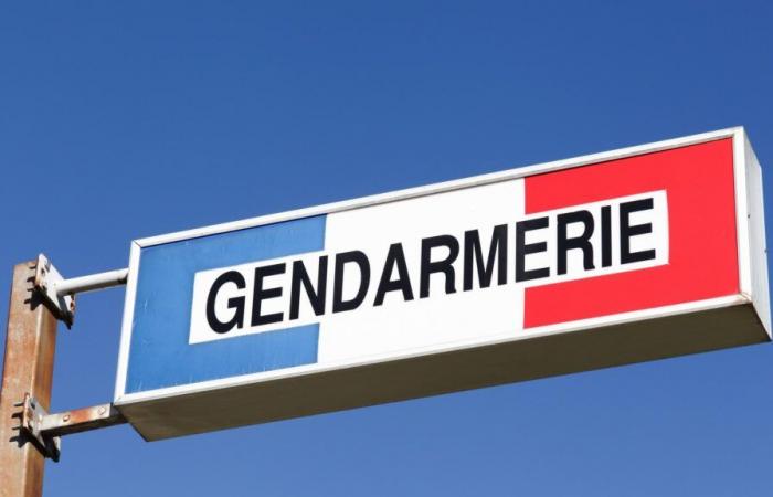 Un uomo arrestato a Grenoble, sospettato di essere coinvolto nel caso degli “scomparsi dell'Isère”.