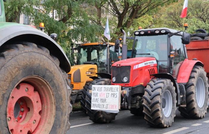 i trattori bloccheranno Saint-Omer questo mercoledì