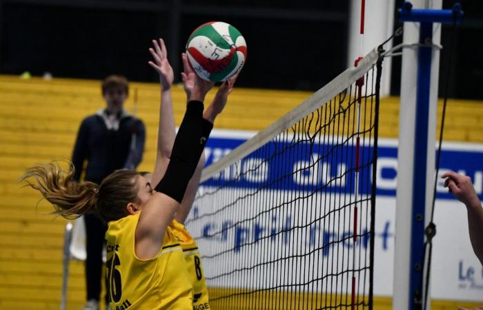 PALLAVOLO: Hanno vinto solo gli uomini di Le Creusot… Le donne hanno perso tutto…