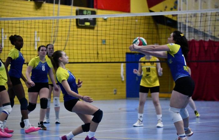 PALLAVOLO: Hanno vinto solo gli uomini di Le Creusot… Le donne hanno perso tutto…