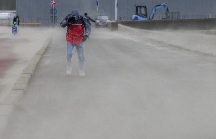 Il servizio meteorologico olandese avverte della pericolosa tempesta Conall: annunciato il codice arancione e voli cancellati