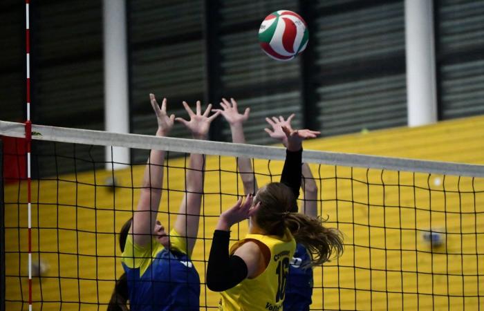 PALLAVOLO: Hanno vinto solo gli uomini di Le Creusot… Le donne hanno perso tutto…