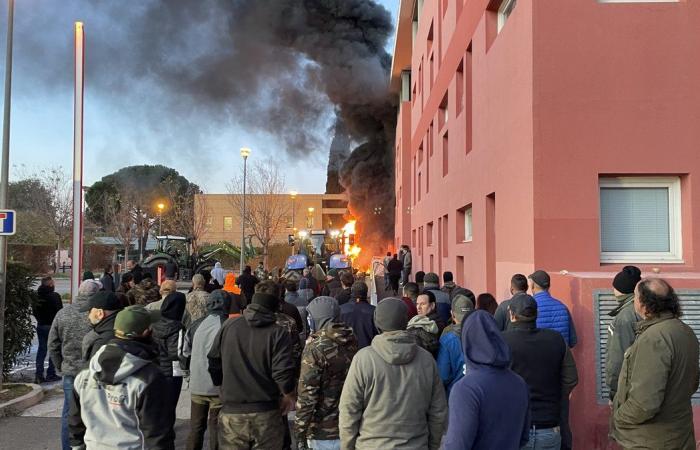 GARD Agricoltura: quattro ragioni per manifestare