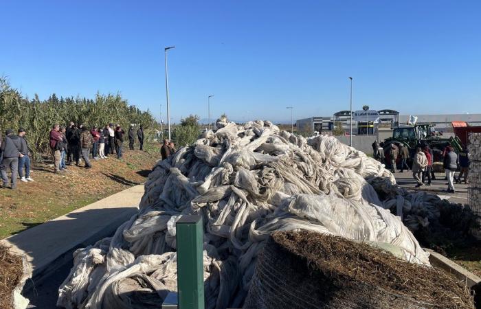 GARD Agricoltura: quattro ragioni per manifestare