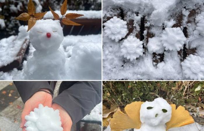 La forte nevicata trasforma la Corea nel paese delle meraviglie invernale – in immagini