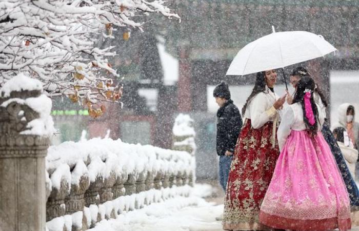 La forte nevicata trasforma la Corea nel paese delle meraviglie invernale – in immagini