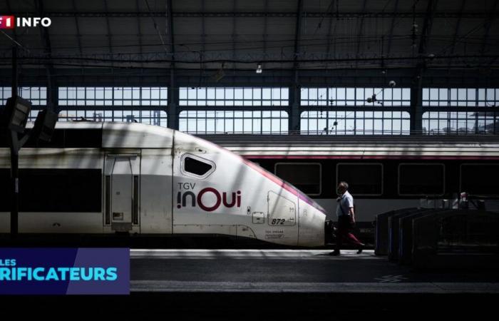 VERIFICA – In caso di controllo, la SNCF può imporre una multa se il documento d’identità è in formato PDF?