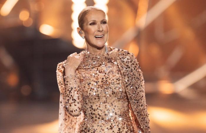 Celine Dion malata: album, concerti… il suo tanto atteso ritorno è stato sospeso per la sua salute