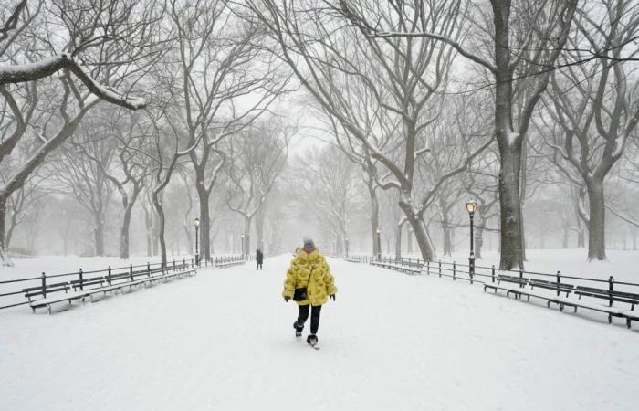 Avvisi meteorologici invernali in 8 stati con 12 pollici di neve da colpire