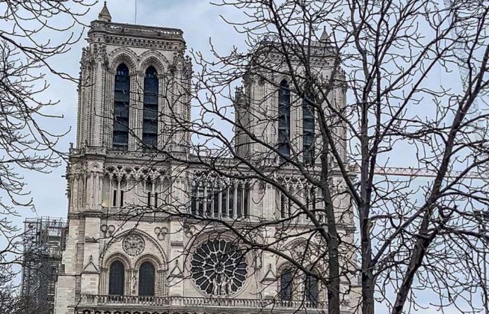 Notre-Dame de Paris: cosa scoprirà Emmanuel Macron questo venerdì 29 novembre?