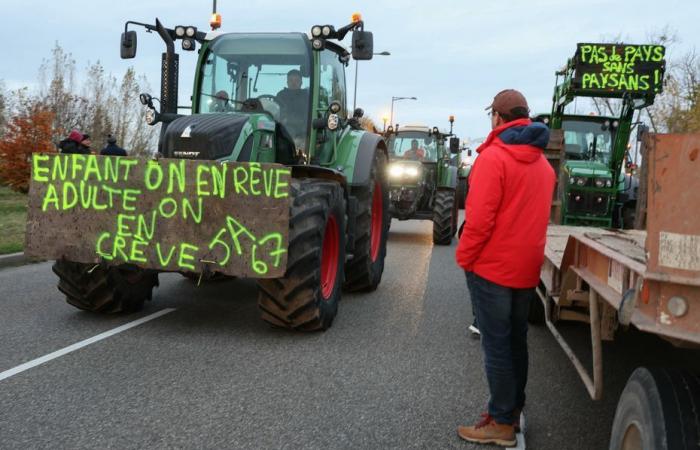 TESTIMONIANZE. È ancora possibile un’agricoltura a basse emissioni di carbonio? Consultati 7.700 agricoltori in tutta la Francia