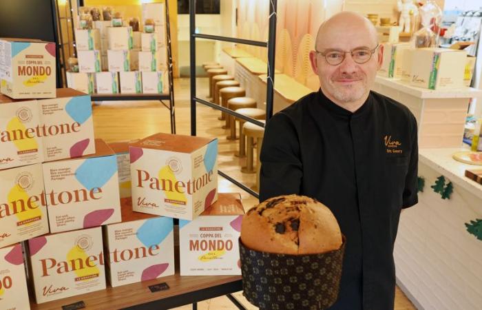 Nuovo | Viva panettone si stabilisce nei locali di Iconoglace