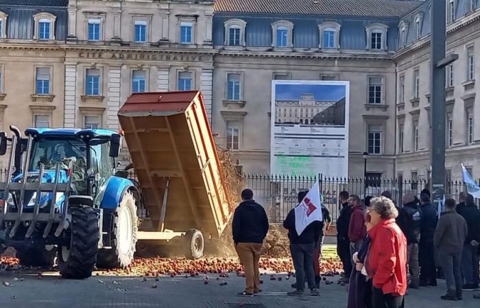 Avignone: la città amministrativa e la MSA doppio obiettivo per gli agricoltori