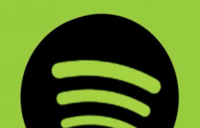 A quali artisti rende omaggio il teaser di Spotify Wrapped?