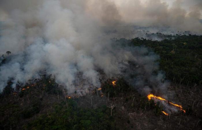 Più frequente, più intenso… L’inquinamento atmosferico causato dagli incendi provoca 1,5 milioni di morti all’anno