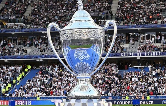 Coppa di Francia di calcio: il programma dei club della Loira Atlantica e della Vandea per l’ottavo turno