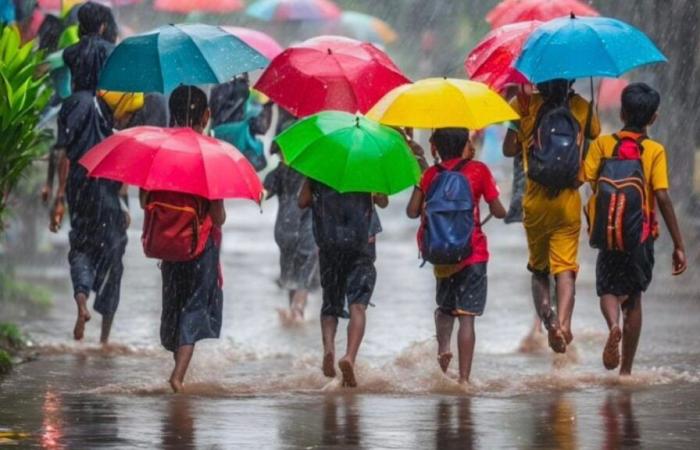 Piove a Chennai 2024: scuole chiuse, ferie dichiarate in diversi distretti