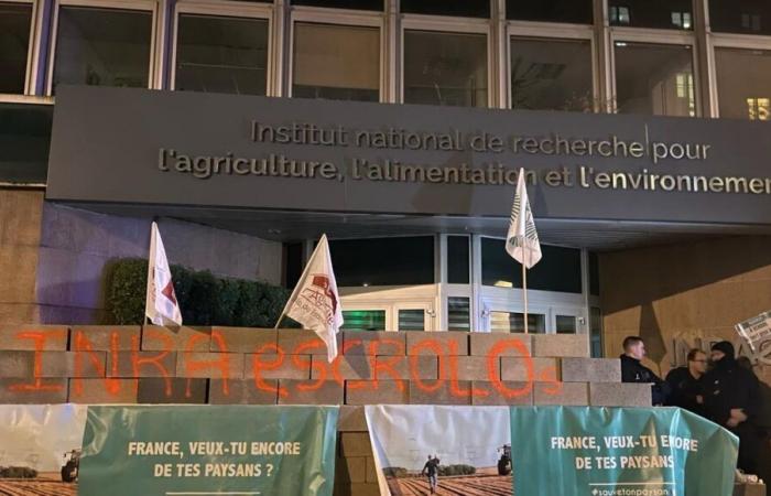 Parigi: più di un centinaio di agricoltori erigono un muro di blocchi di cemento davanti all'INRAE