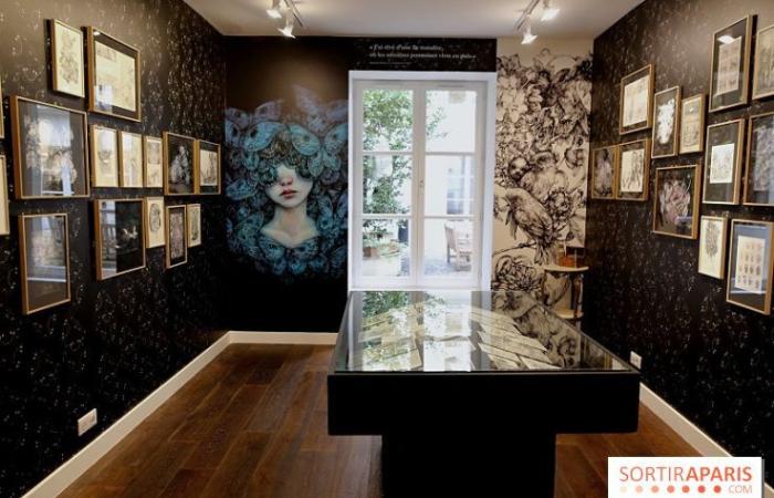 Benjamin Lacombe presenta “Papillon Noir”, la mostra gratuita alla Galerie Gallimard, le nostre foto