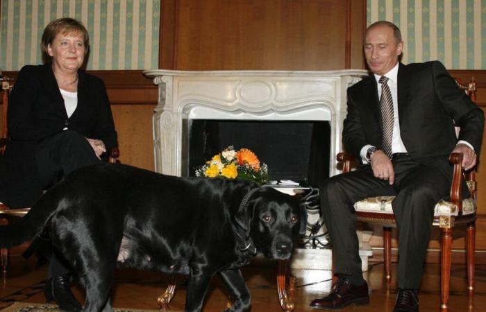 Le memorie della Merkel: Putin si scusa per l’incidente con il cane