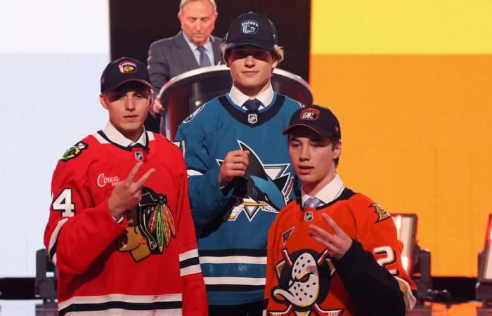 Top-5 dell’ultimo draft NHL: cosa stanno facendo finora?