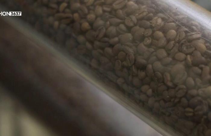 con l’aumento del prezzo del caffè i prezzi salgono