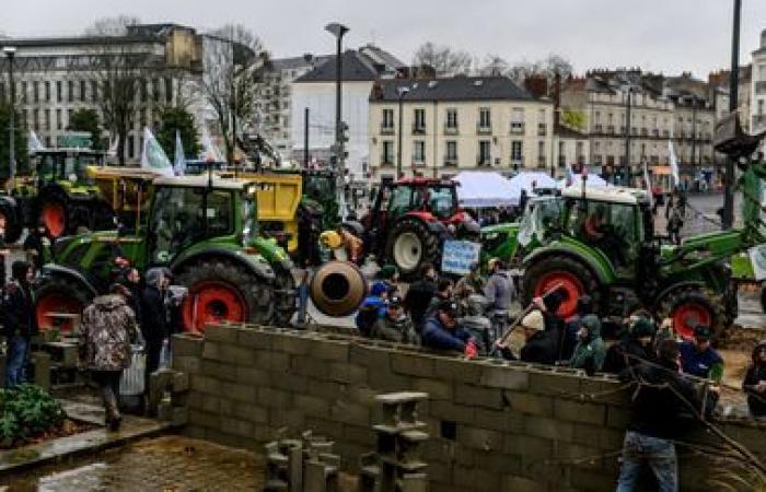 associazioni ambientaliste denunciano violenze durante le manifestazioni